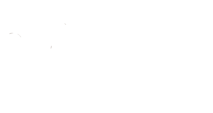 THE COLLECTIVE BY JABFIT