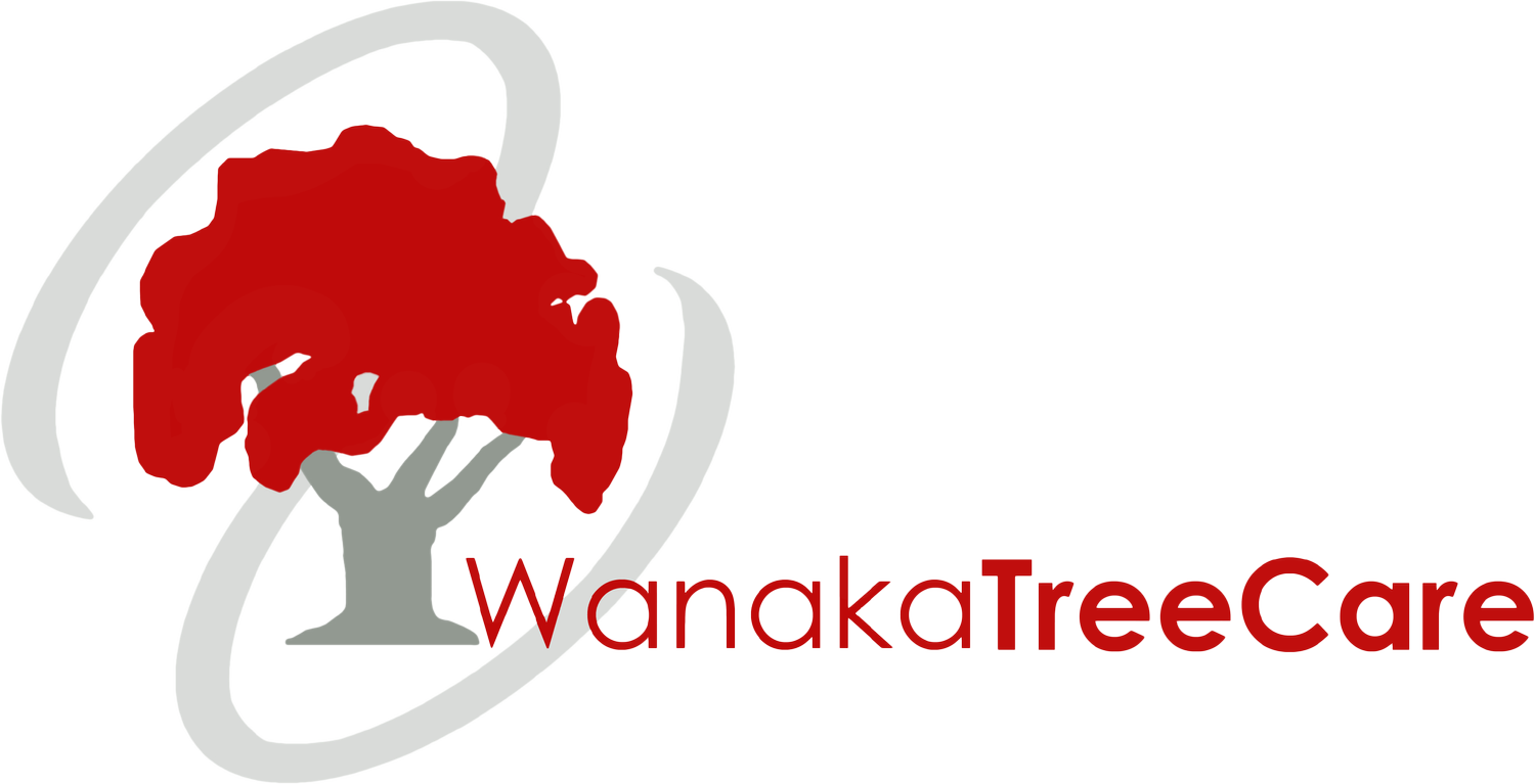 Wanaka Tree Care
