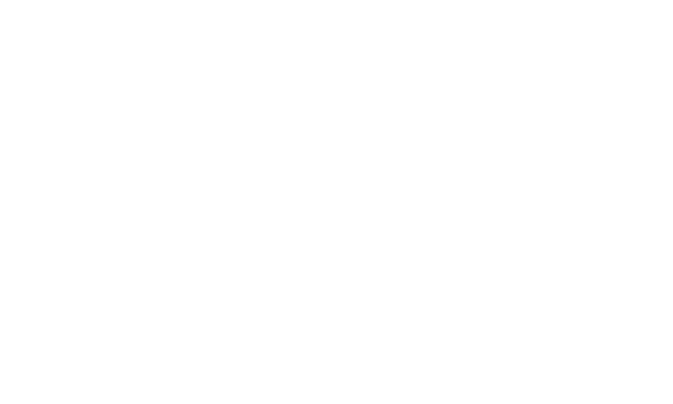 Slye Films