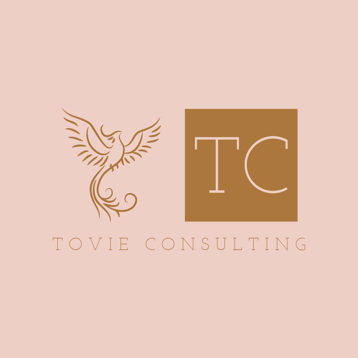 Tovie Consulting LLC