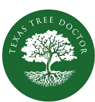 Texas Tree Doctor