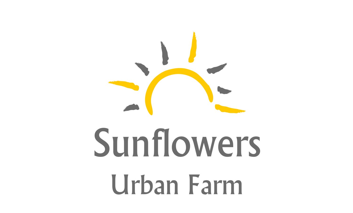 Sunflowers Urban Farm