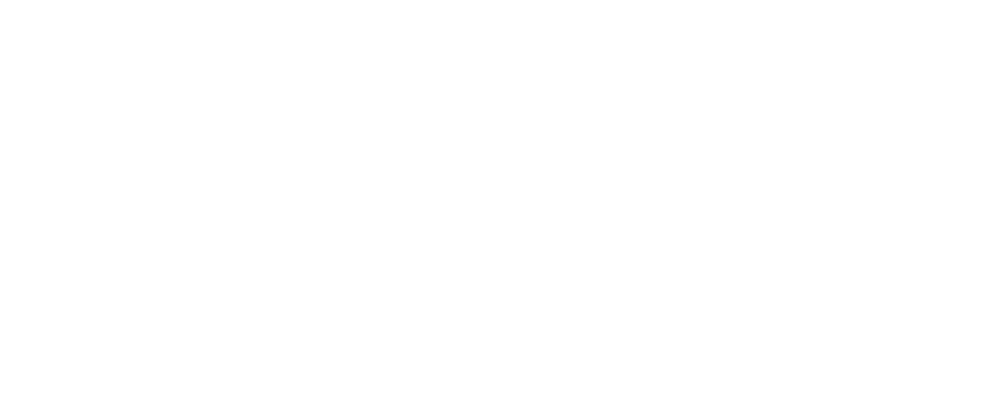 Simon J Robinson