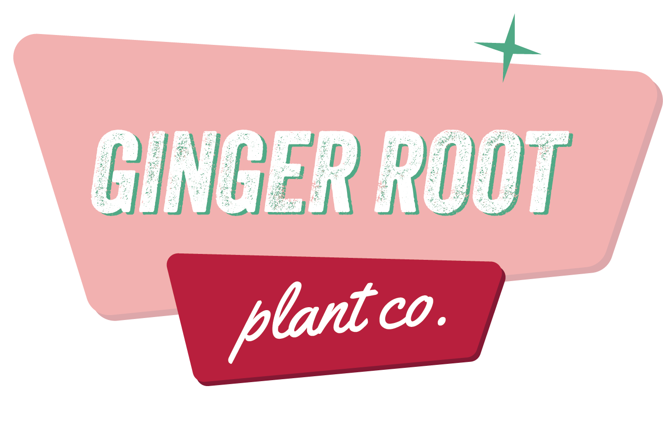 Ginger Root Plant Co. 