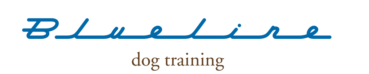 Blue Line Dog Training