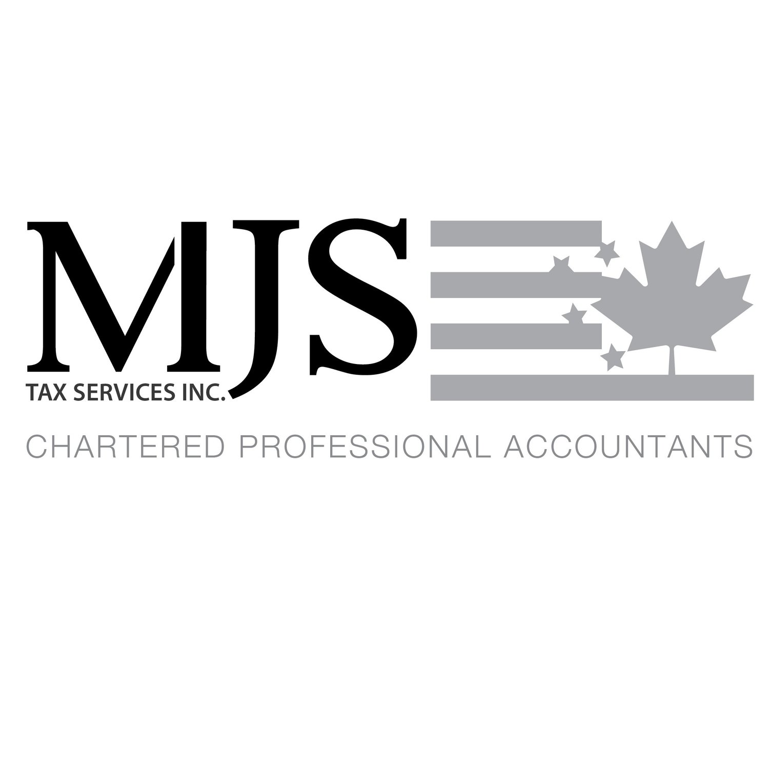 MJS Tax Services