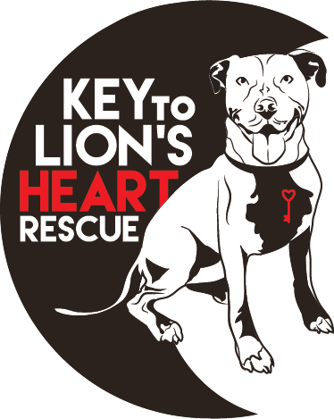Key to Lion&#39;s Heart Rescue