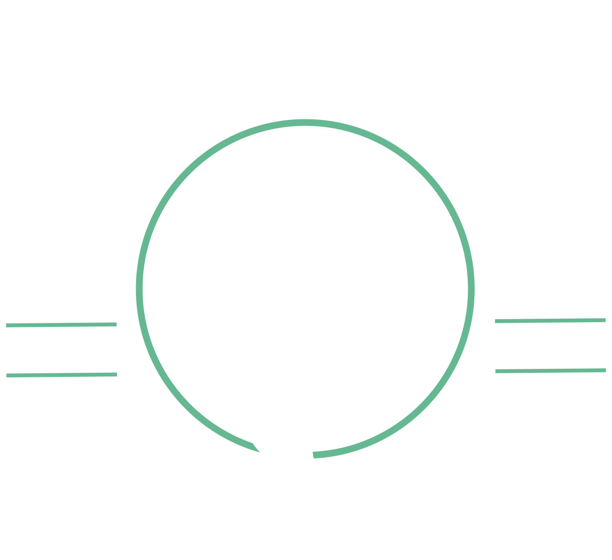 Ladybower Fisheries