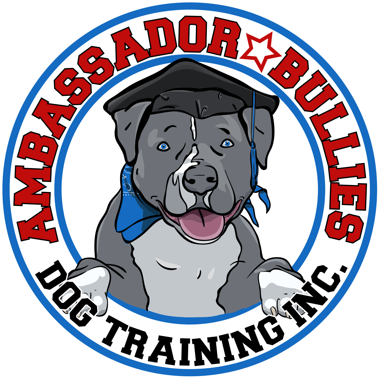  Ambassador Bullies Dog Training