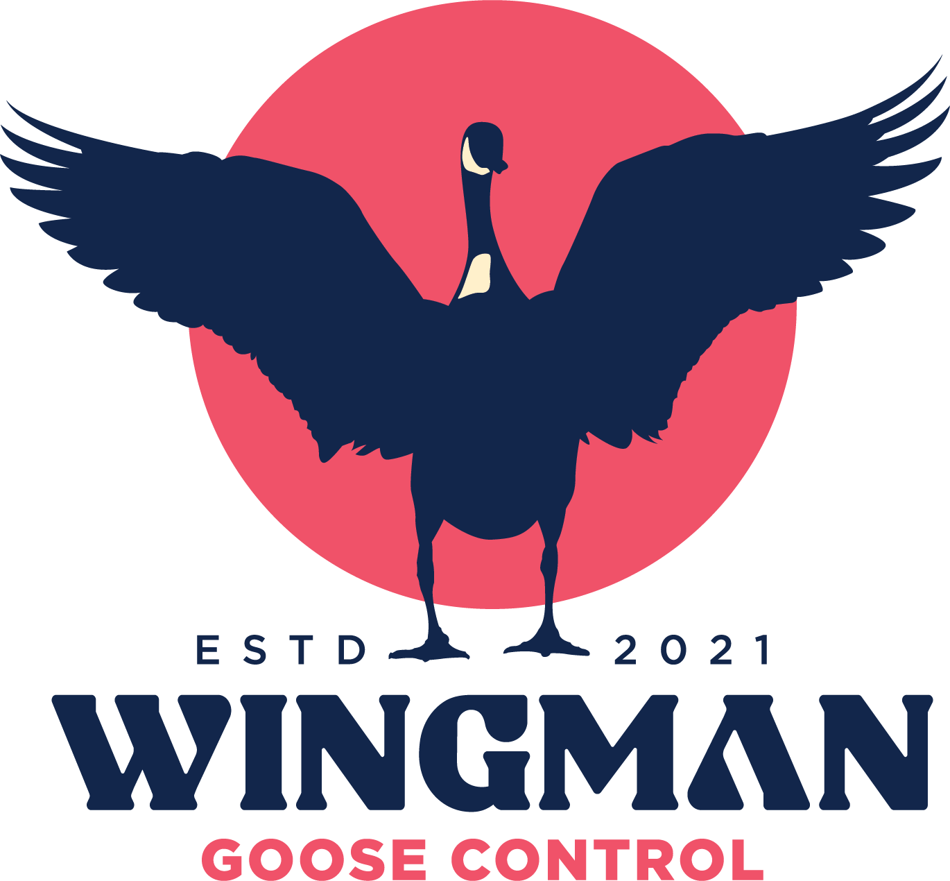 wingman goose control