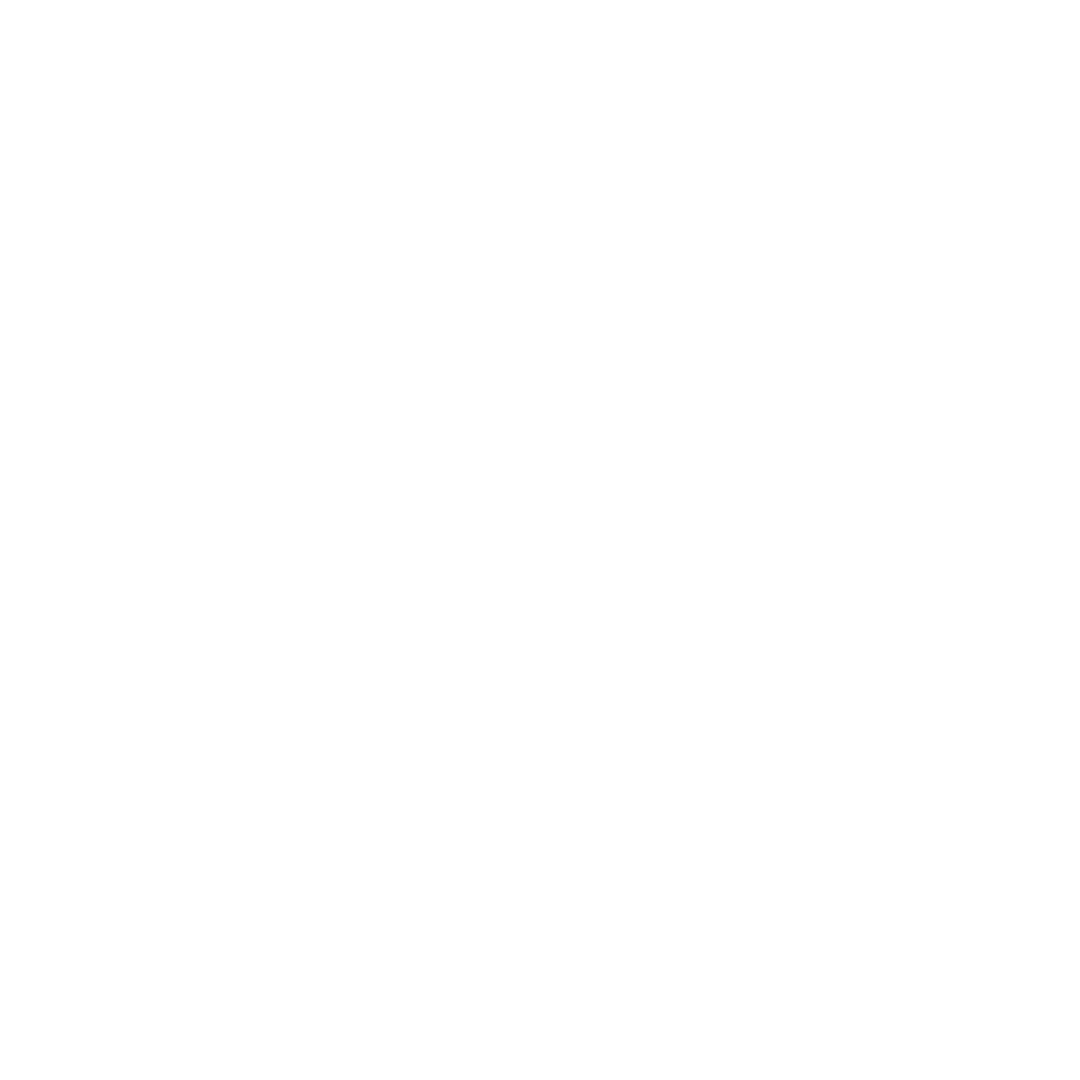 THE GLAN LLYN INN