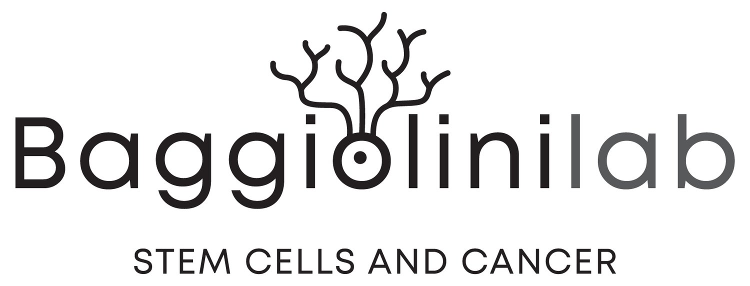 Baggiolini Lab