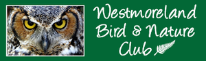 Westmoreland Bird &amp; Nature Club