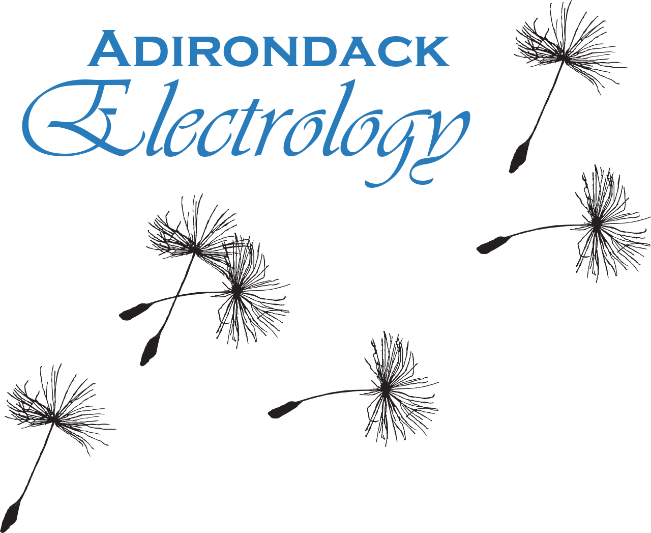 Adirondack Electrology