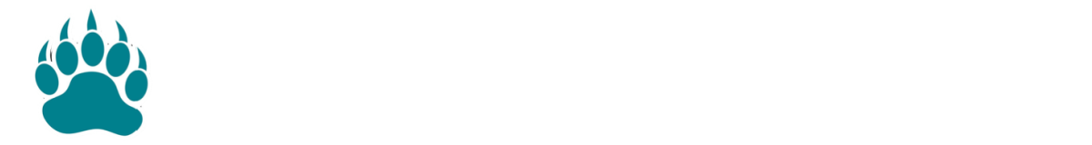 Bayside Bears Youth Football &amp; Cheerleading!