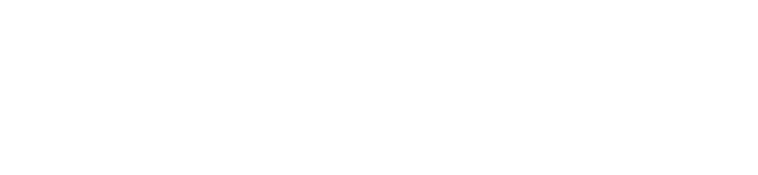 Emerson Property Group