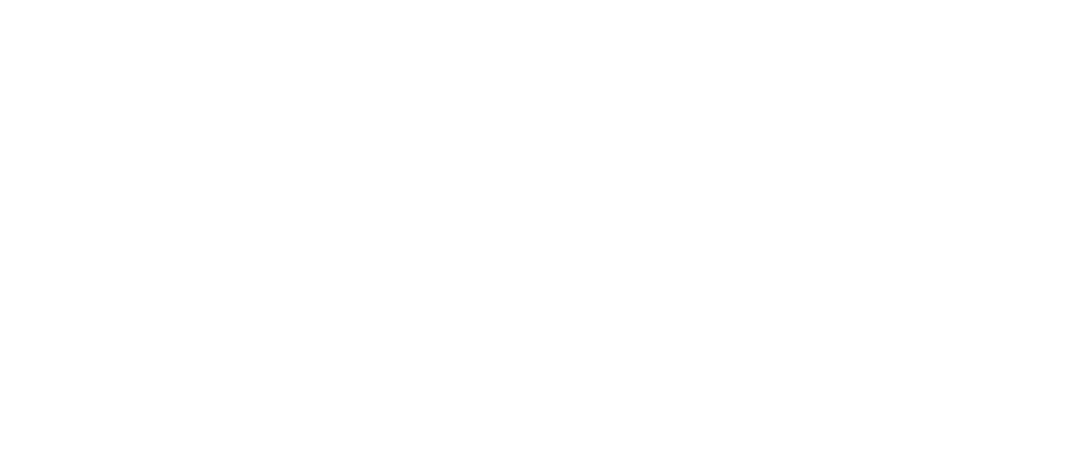 HRDINOVIA INTERNETU