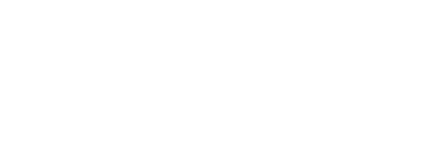 Morgan Projects