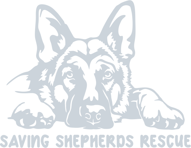 Saving Shepherds Rescue