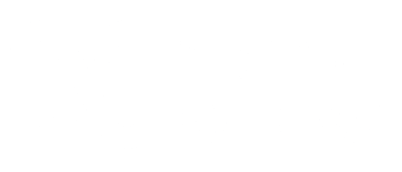 Nara Synergy