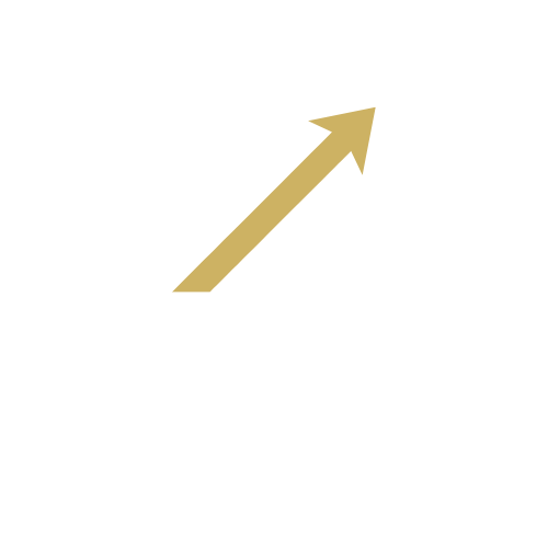 StrategiX Marketing