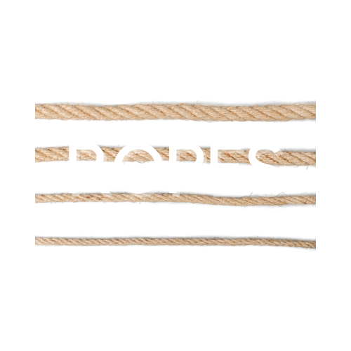 ROPES: Remote Operations &amp; Engagement Services