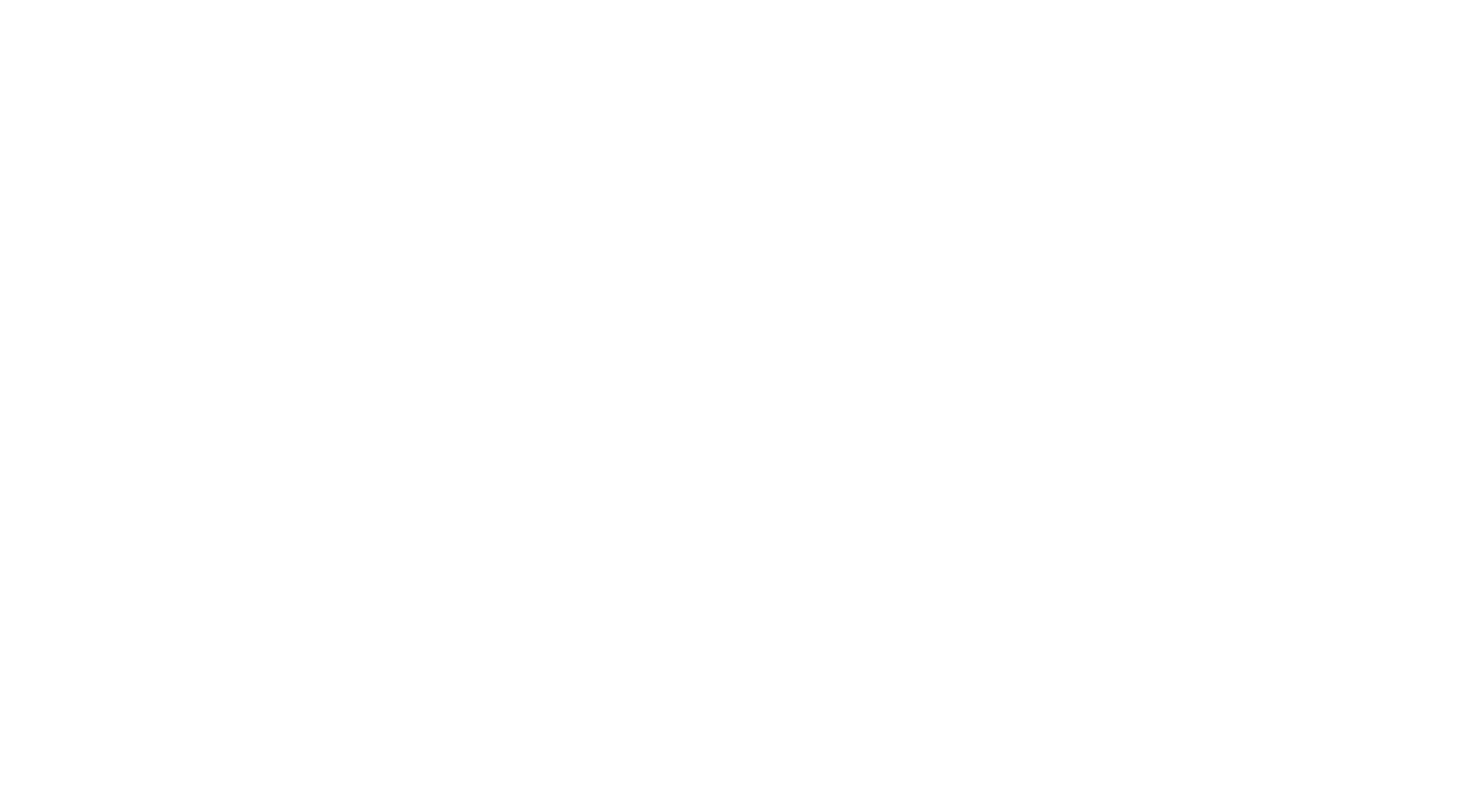 Guinness Irish Festival