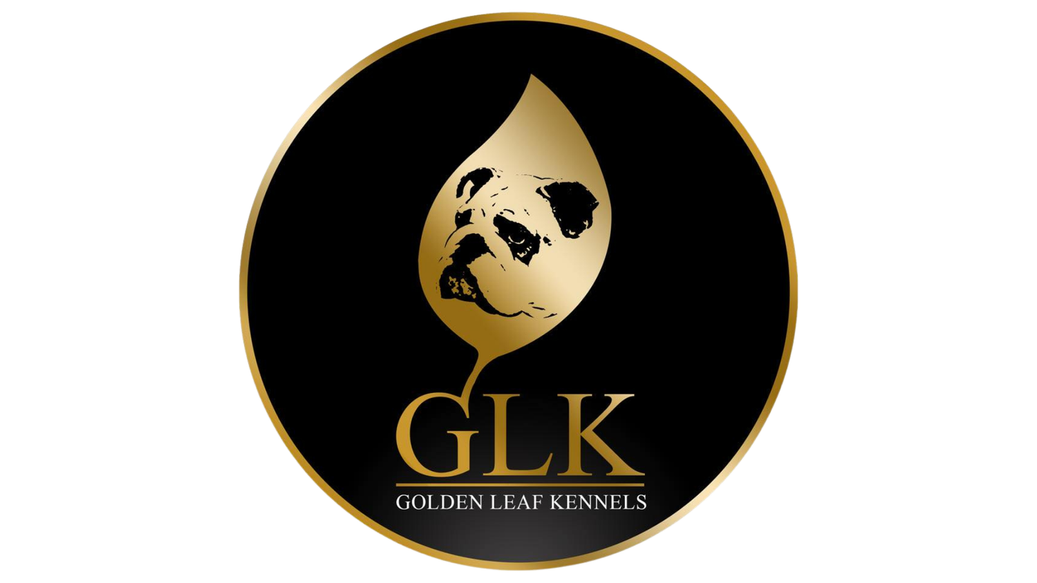 Golden Leaf Kennels