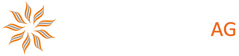 US TAX SERVICES AG