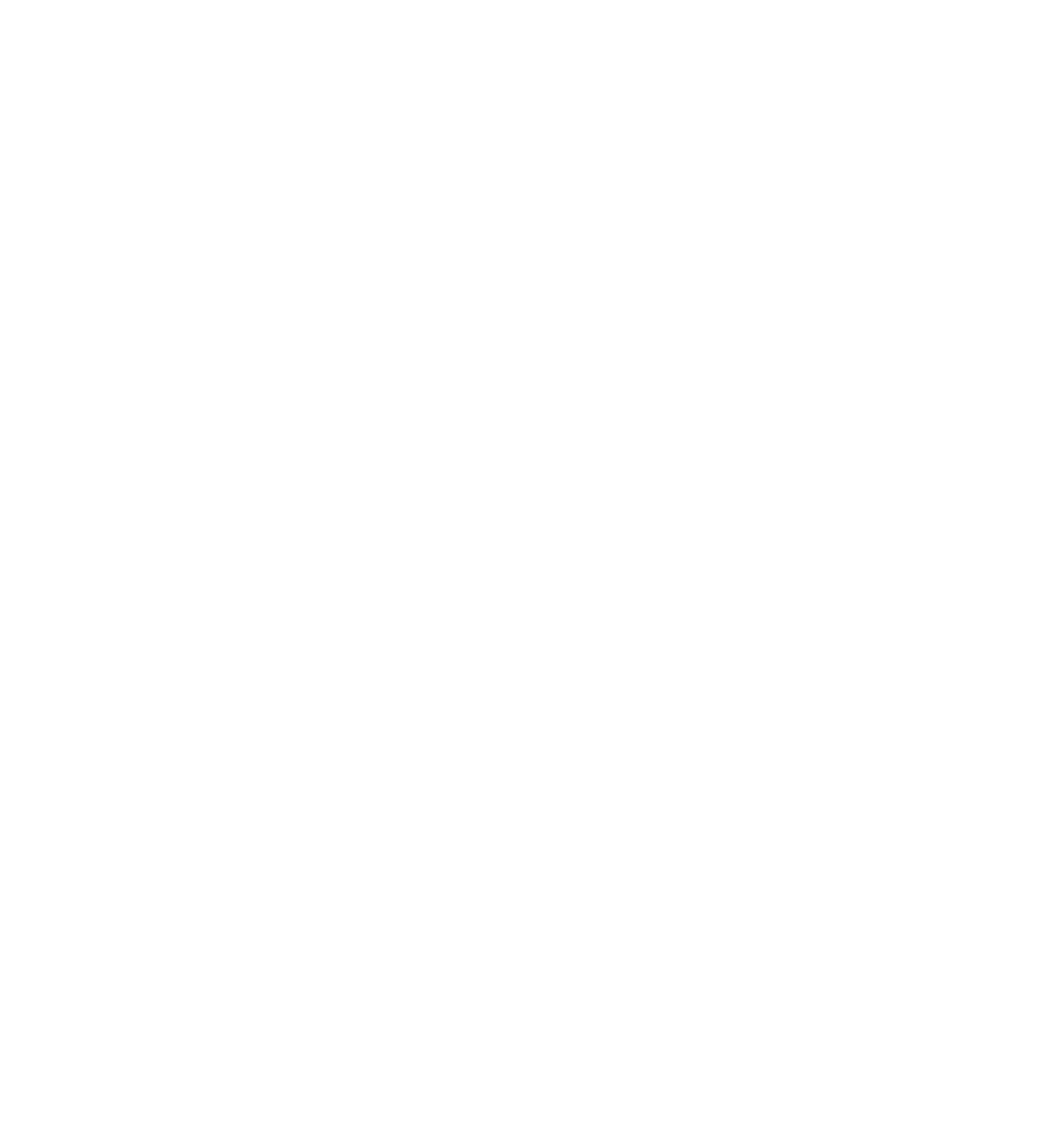 Zara Acupuncture