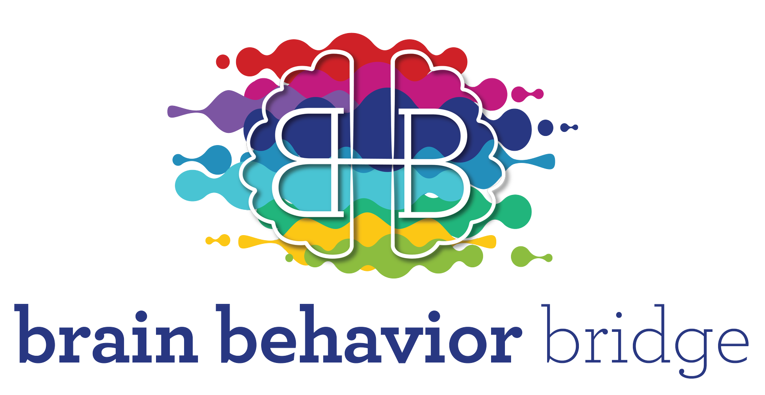 Brain Behavior Bridge