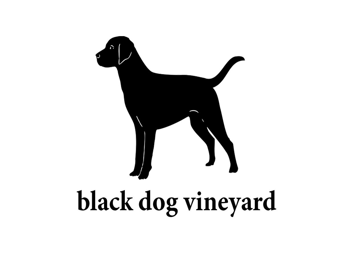 Black Dog Vineyard & Winery Tasting Room