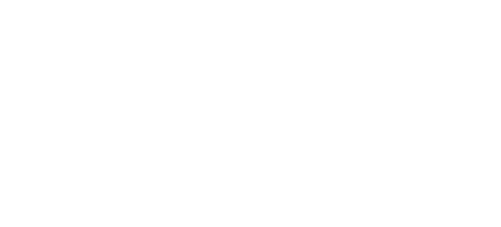 The Pilates Firm