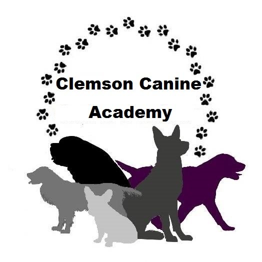 Clemson Canine Academy 