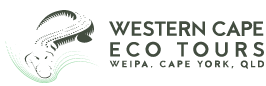 Western Cape Eco Tours