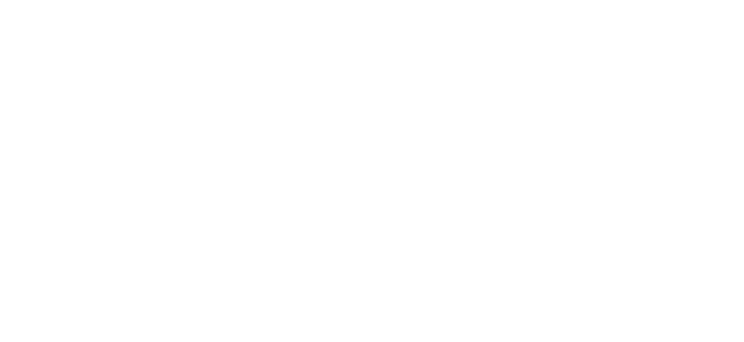 Radiance Holdings