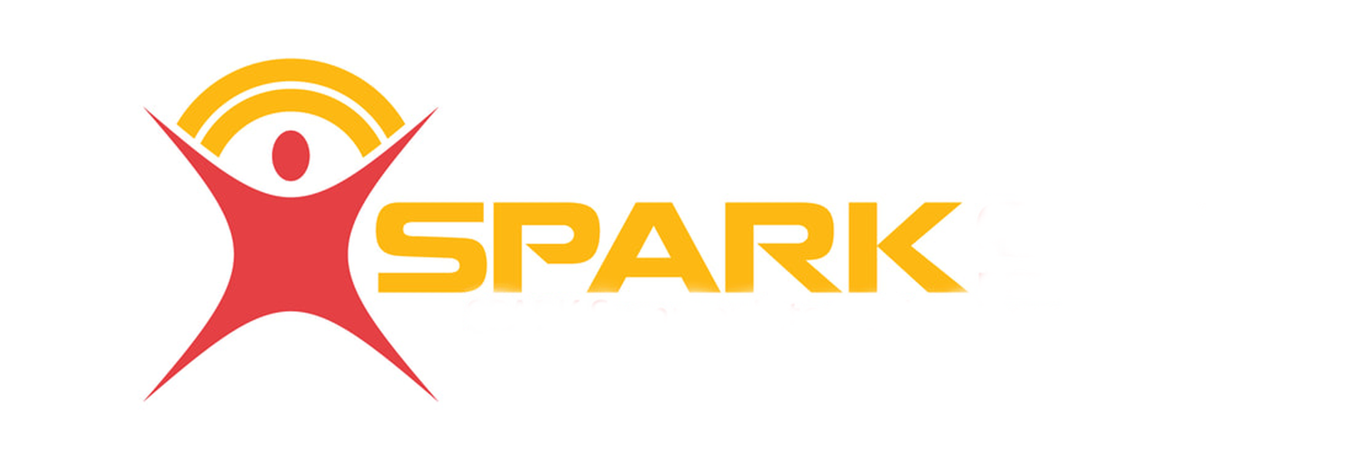 SPARK Summer Mentorship Program