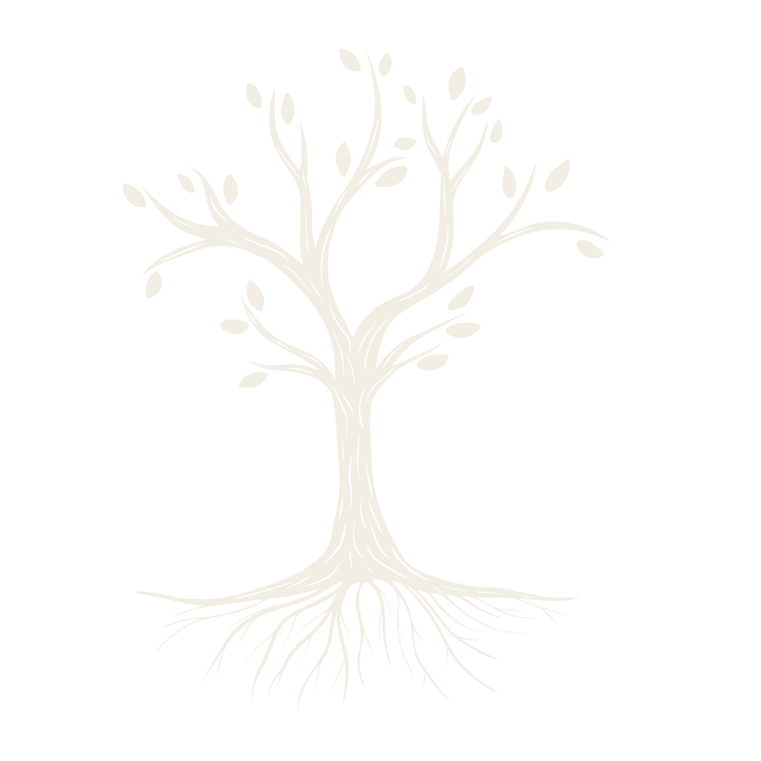 Trauma Therapy Phoenix
