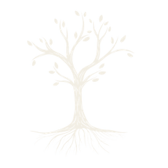 Trauma Therapy Phoenix