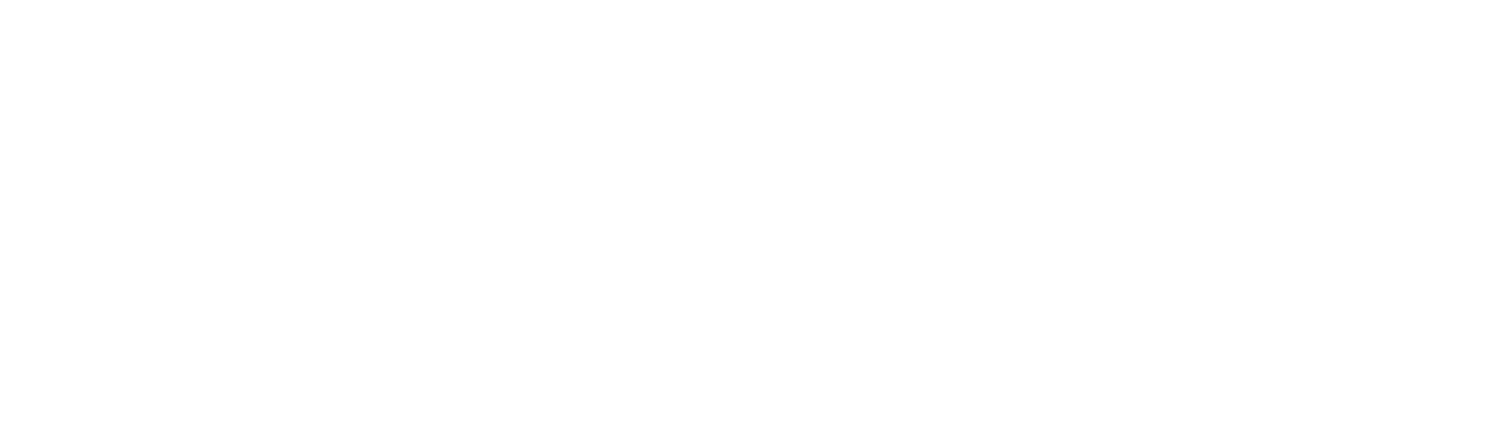 Compliance Consulting