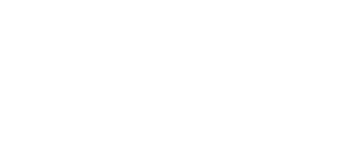 Leadership 100