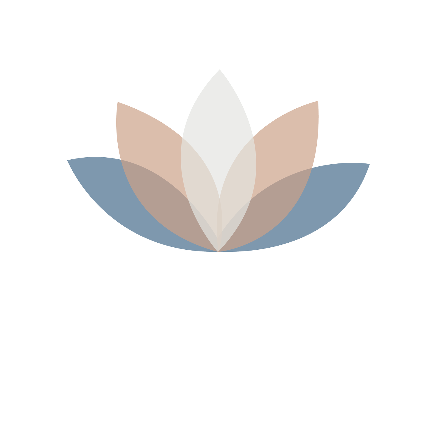Dr. Brenes Mendieta