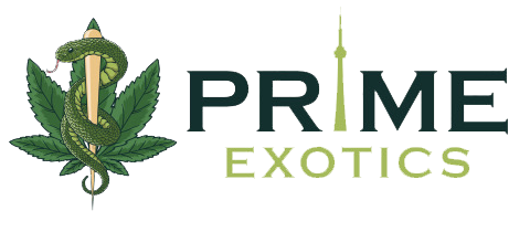 Prime Exotics 
