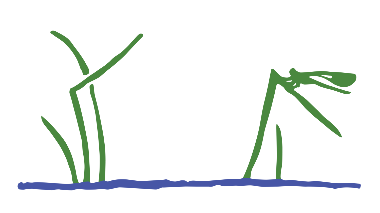 Walden Design | Landscape Design &amp; Installation