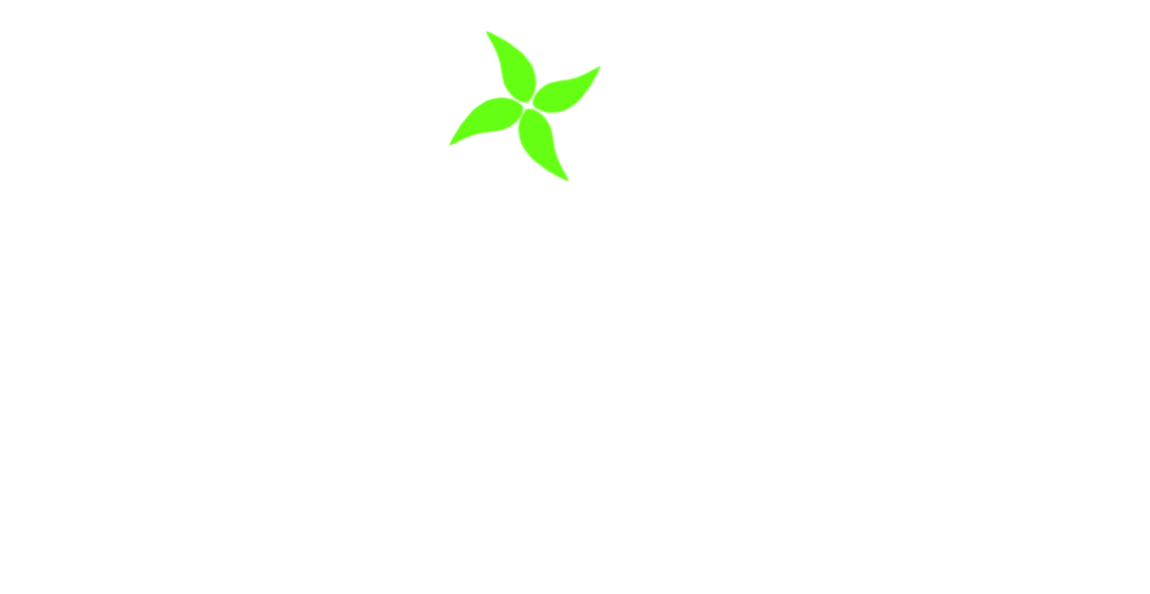Mint Drone Shots