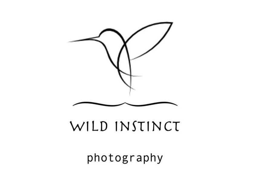 wild instinct photography - Hochzeitsfotografie  - Bruchsal und Umgebung - Lisa Deißler