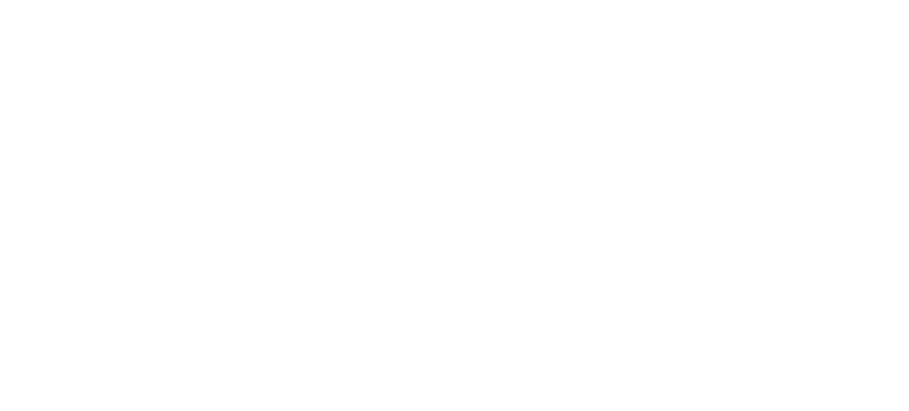 Silvicon Services