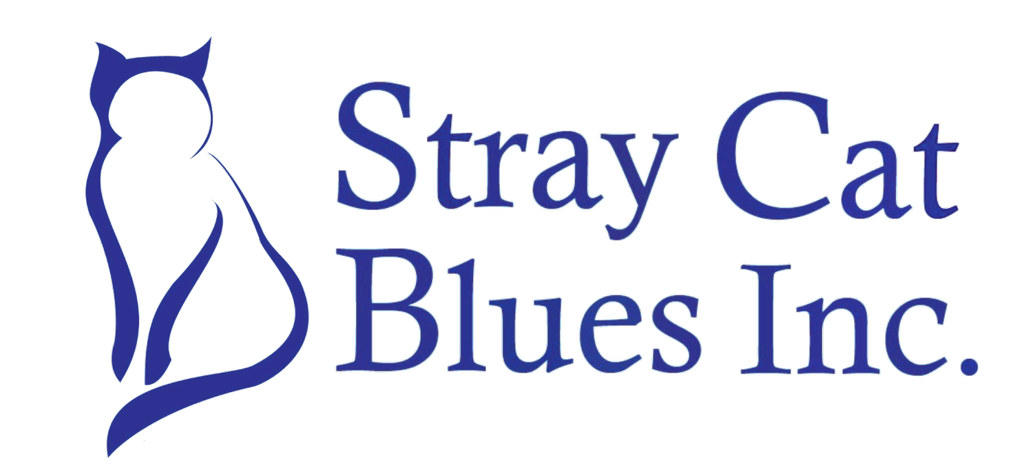 Stray Cat Blues Inc