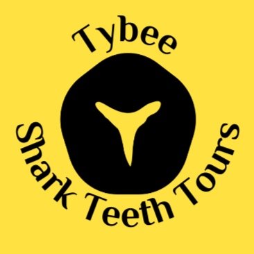 Tybee Shark Teeth Tours