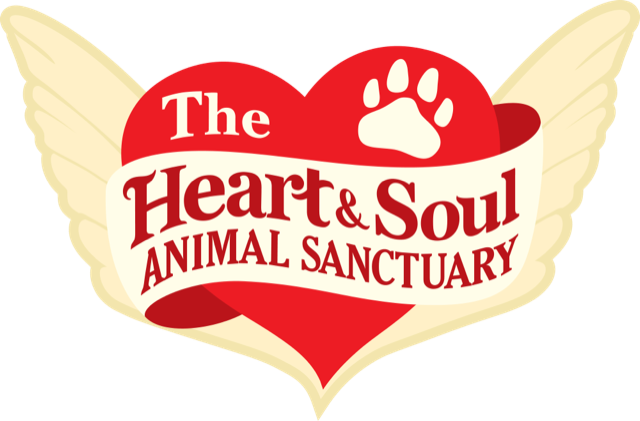The Heart &amp; Soul Animal Sanctuary